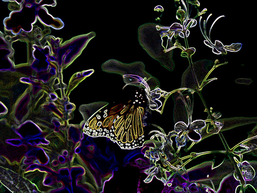 Glowing Butterfly